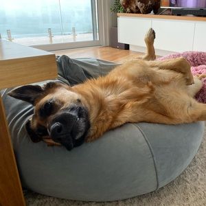 Meet your Posher, Naomi